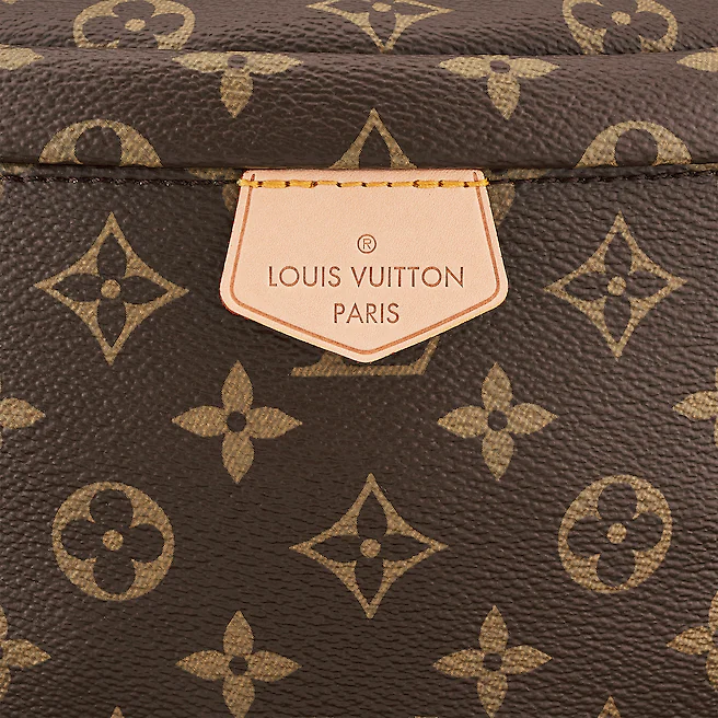 Túi xách Louis Vuitton Bumbag 